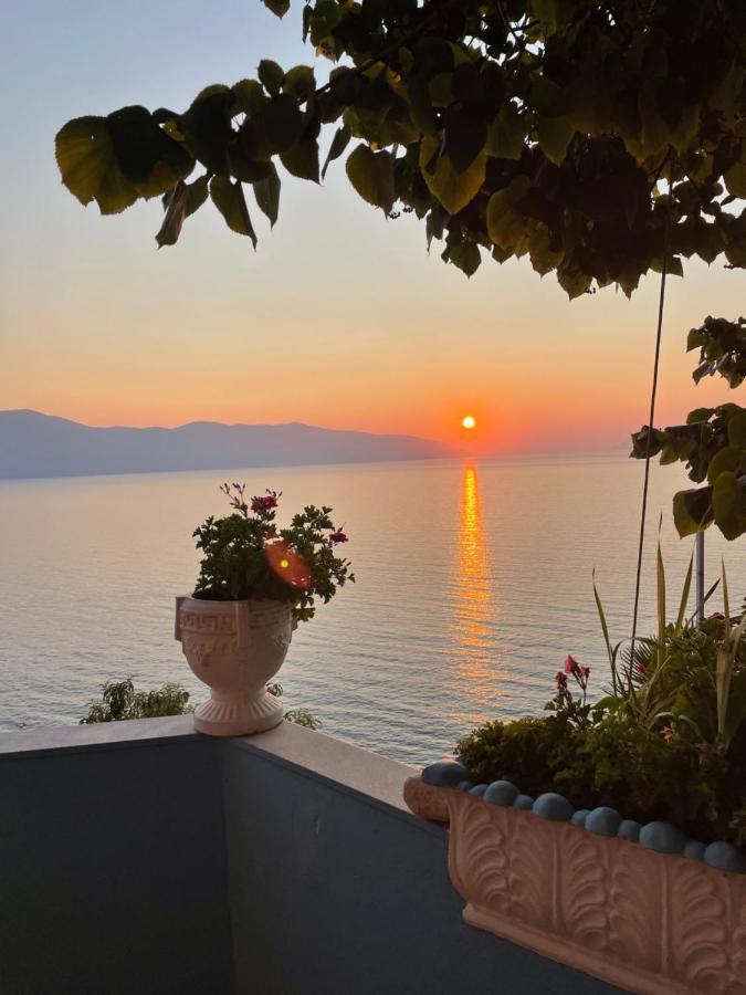 Vila Pashaj Vlorë Exterior foto